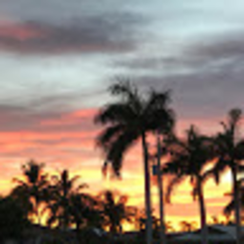 Meet your Posher, Corinn